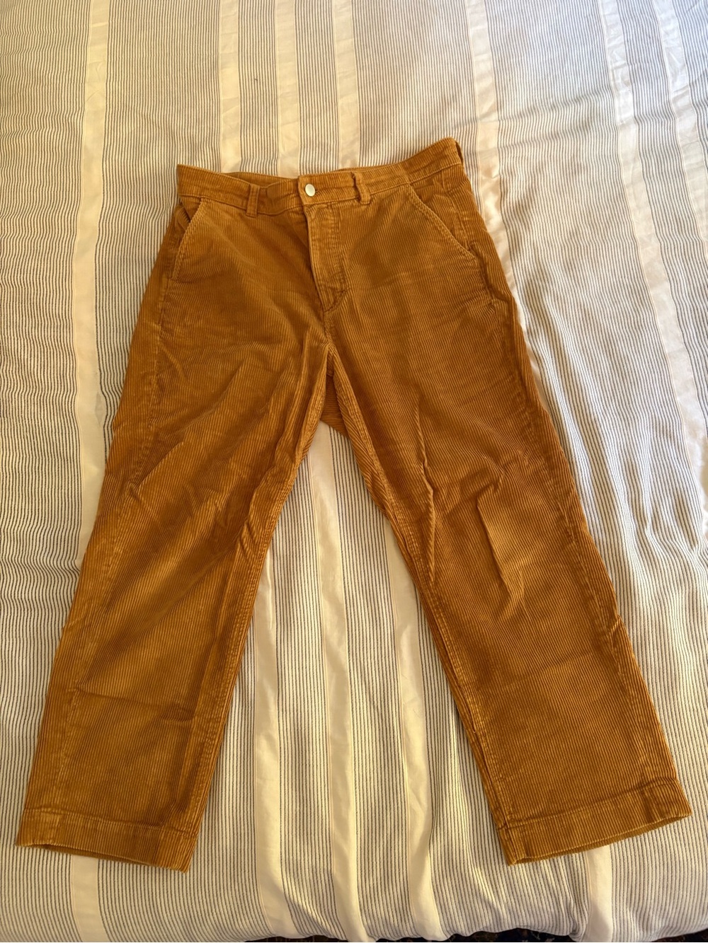 Everlane Cords